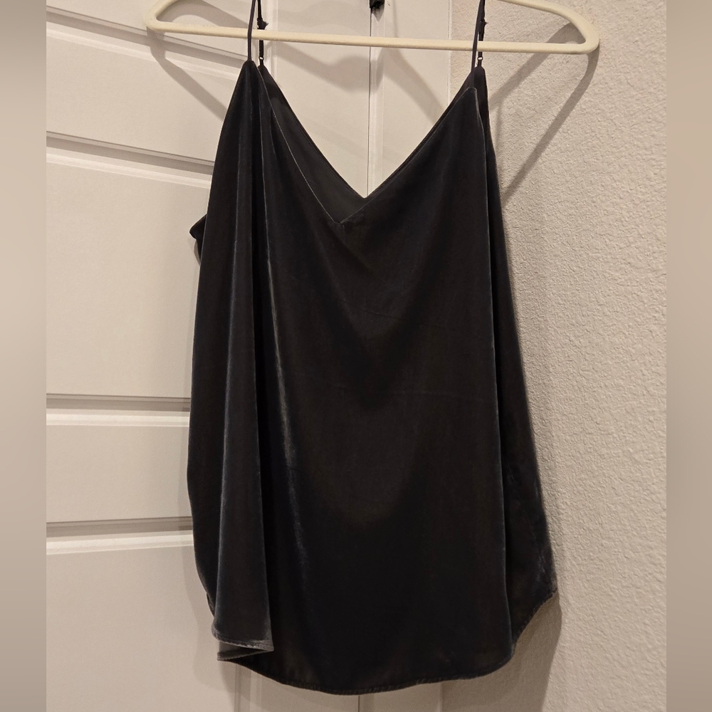 Express Velvet Top